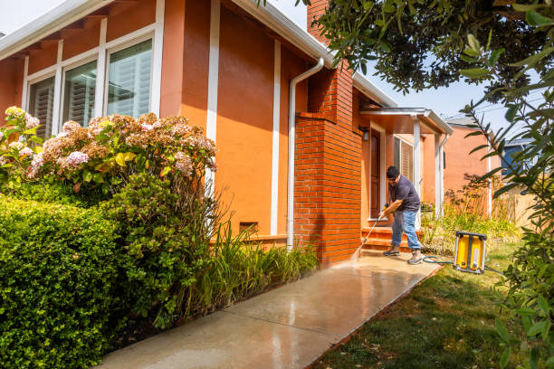 Best Local Pressure Washing Services  in Dayton, TN